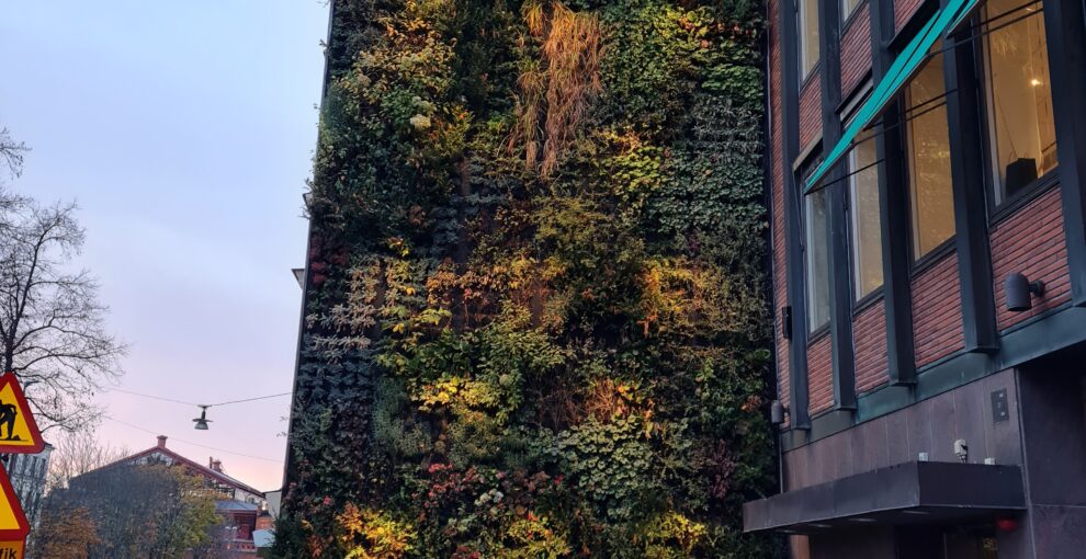 Växtvägg på Storgatan 1, Stockholm